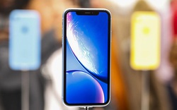 6 lý do thuyết phục bỏ qua iPhone Xs để chọn mua iPhone Xr