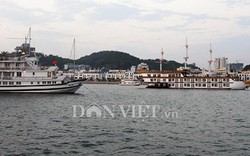 Quảng Ninh:HS nghỉ học,phương tiện thủy bị cấm ra khơi từ ngày 16.9
