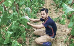 Khởi nghiệp thành công với giấc mơ làm nông sản sạch ở tỉnh nghèo
