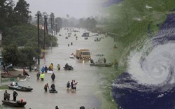 Hàng nghìn người "tháo chạy" tránh vỡ đập vì siêu bão Florence