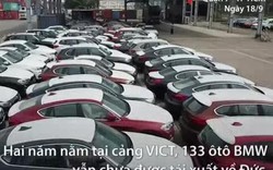 Choáng: Lô xe BMW phơi nắng mưa 2 năm ở Sài Gòn chờ tái xuất