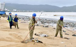 Việt Nam - Nhật Bản hợp tác nghiên cứu biển, xử lý rác đại dương