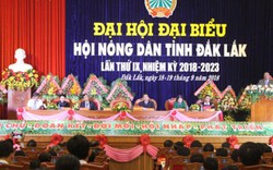 Đại hội Hội ND Đăk Lăk: Lan tỏa các phong trào thi đua