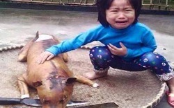 Từ bỏ sở thích nuôi chó vì ám ảnh thú cưng bị giết thịt