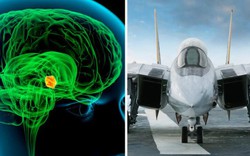 Sốc: Phi công Mỹ dùng não điều khiển chiến đấu cơ