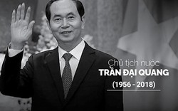 Infographic tiểu sử Chủ tịch nước Trần Đại Quang