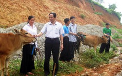 Hội Nông dân Thanh Hóa: “Bà đỡ” hiệu quả  cho hội viên làm giàu