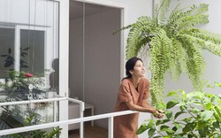 Vợ chồng trẻ hô biến nhà hoang thành "biệt thự bonsai" đẹp "phát thèm"