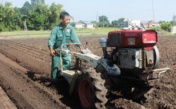 An Giang: Nông dân sáng chế máy được Thủ tướng tặng Bằng khen