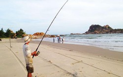 Bình Thuận: Ngày cá áp bờ, ăn dày, nơi nào cũng chật người câu