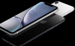 Apple "kìm chân" iPhone Xr để tận thu lợi nhuận