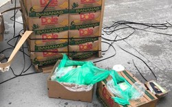 Mỹ: Mở thùng chuối, phát hiện 18 triệu USD cocaine