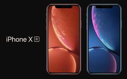 Apple "lập lờ" về tên gọi iPhone XR, chuyên gia chốt một câu "căng đét"