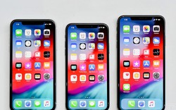 Giữa “tâm bão” iPhone Xs, Xs Max, người dùng vẫn mong chờ iPhone Xr