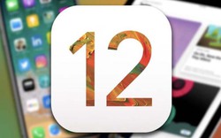 Phát "cuồng" với tính năng ẩn mới trên iOS 12: Không biết quá phí