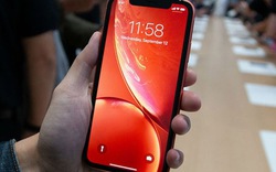 Cảnh báo iFan: iPhone Xr có thể thiếu hàng giai đoạn đầu