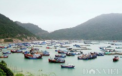 VASEP: Xóa "thẻ vàng" IUU ngay trong năm 2018 chưa hẳn... tốt