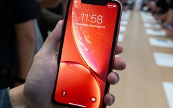 Tại sao iPhone Xr có thời lượng pin lâu nhất của dòng iPhone X mới?