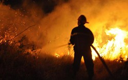Quảng Ngãi: Cháy rừng sau gần 1 ngày đêm vẫn chưa dập tắt hoàn toàn
