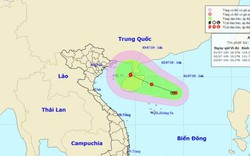 Áp thấp mạnh lên thành áp thấp nhiệt đới giật cấp 8, hướng vào vịnh Bắc Bộ