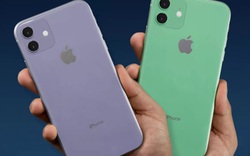 Đây là hình dáng bộ ba iPhone 2019, iPhone 11R gây bất ngờ