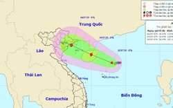 Áp thấp nhiệt đới khả năng mạnh thành bão, hướng vào Quảng Ninh-Nam Định
