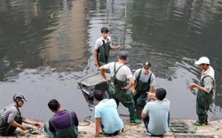 Tiết lộ lý do “bảo bối” làm sạch nước sông Tô Lịch bị tháo đưa lên bờ