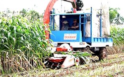 “Kỹ sư làng” chế tạo máy khiến nông dân bái phục ở An Giang