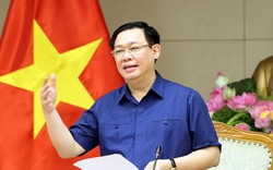 Phó Thủ tướng yêu cầu Thanh tra Chính phủ sớm kết thúc thanh tra giá điện
