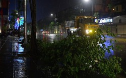 Tâm bão số 2 nhắm thẳng Quảng Ninh-Thanh Hoá, bắt đầu mưa to, gió giật nhiều nơi