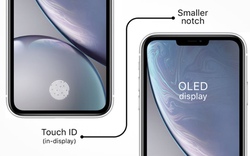 iPhone sẽ tích hợp Touch ID vào màn hình