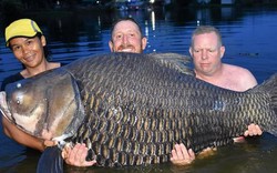 Câu được cá chép khổng lồ nhất thế giới, nặng 105kg ở Thái Lan