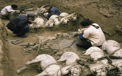 Vì sao lăng mộ Tần Thủy Hoàng có cả thế giới động vật bên trong?
