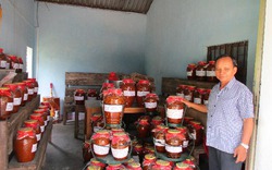 Đà Nẵng: Lão nông Cơ Tu quyết giữ sản vật "của nhà trồng được"