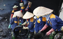 Hàng chục công nhân nạo vét bùn sông Tô Lịch dưới cái nắng gay gẳt