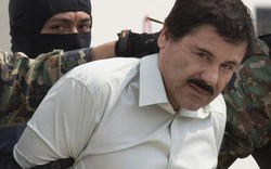 Trùm ma túy El Chapo bị đòi hơn 12 tỷ USD, luật sư bào chữa nói lời cay đắng