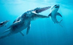 "Khủng long bạo chúa đại dương", nỗi kinh hoàng của cá mập thời tiền sử