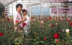 Làng triệu phú hoa hồng dưới chân núi LangBian
