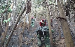 Cháy rừng ở Đà Nẵng được khống chế sau gần 3 giờ bốc lửa