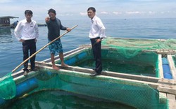 Agribank Lý Sơn rót vốn giúp ngư dân bám biển