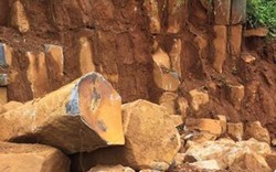Điều tra vụ khai thác đá cây trong khu vực quân đội quản lý