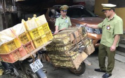 Bắt giữ 2.000 vịt giống lậu từ Trung Quốc tại biên giới Lạng Sơn