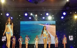 Lê Âu Ngân Anh kiện Cục, Hoa hậu Đại dương 2019 "chui" sang nước ngoài tổ chức