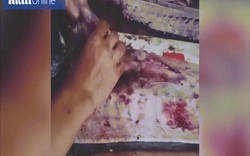 Indonesia: Mua cá ngoài chợ, về mổ bụng thấy "bàn tay hủy diệt" của con người