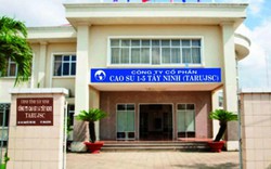 Lùi thời hạn giải thể Công ty CP cao su 1-5 Tây Ninh