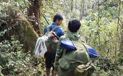 Tận diệt chim rừng: "Thiên la, địa võng" súng cồn trên đỉnh Pu Ta Leng