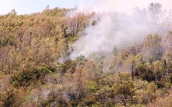 Hàng chục tiếng nổ nghi bom đạn trong vụ cháy rừng 25 giờ ở Bình Định