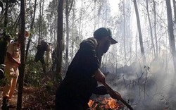 Bình Định: Cháy 20ha rừng, hơn 400 người đến hiện trường dập lửa