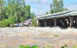 Miền Tây sẽ có lũ nhỏ: Đập thượng nguồn chặn rồi, đâu còn nước nữa