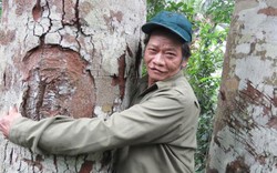 "Mãnh hổ" ngàn đêm không ngủ giữ rừng lim độc nhất ở Trường Sơn